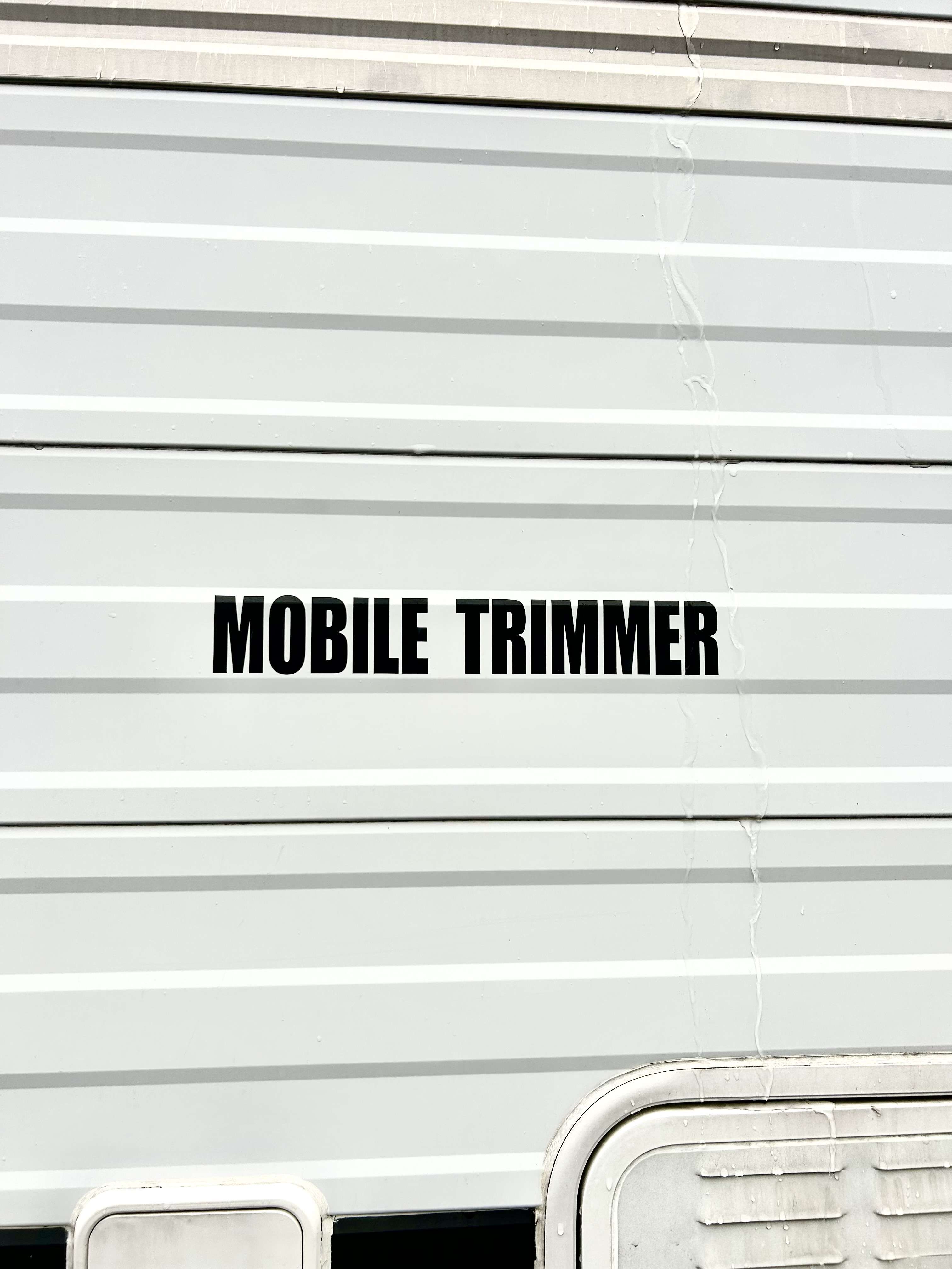 柏市周辺で出張トリミングを探している方へ。移動型トリミングという選択