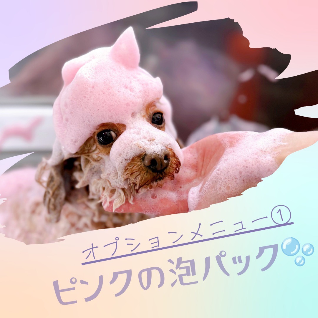 「人気オプション紹介①」｜ピンクの泡パックケアってどんなもの？