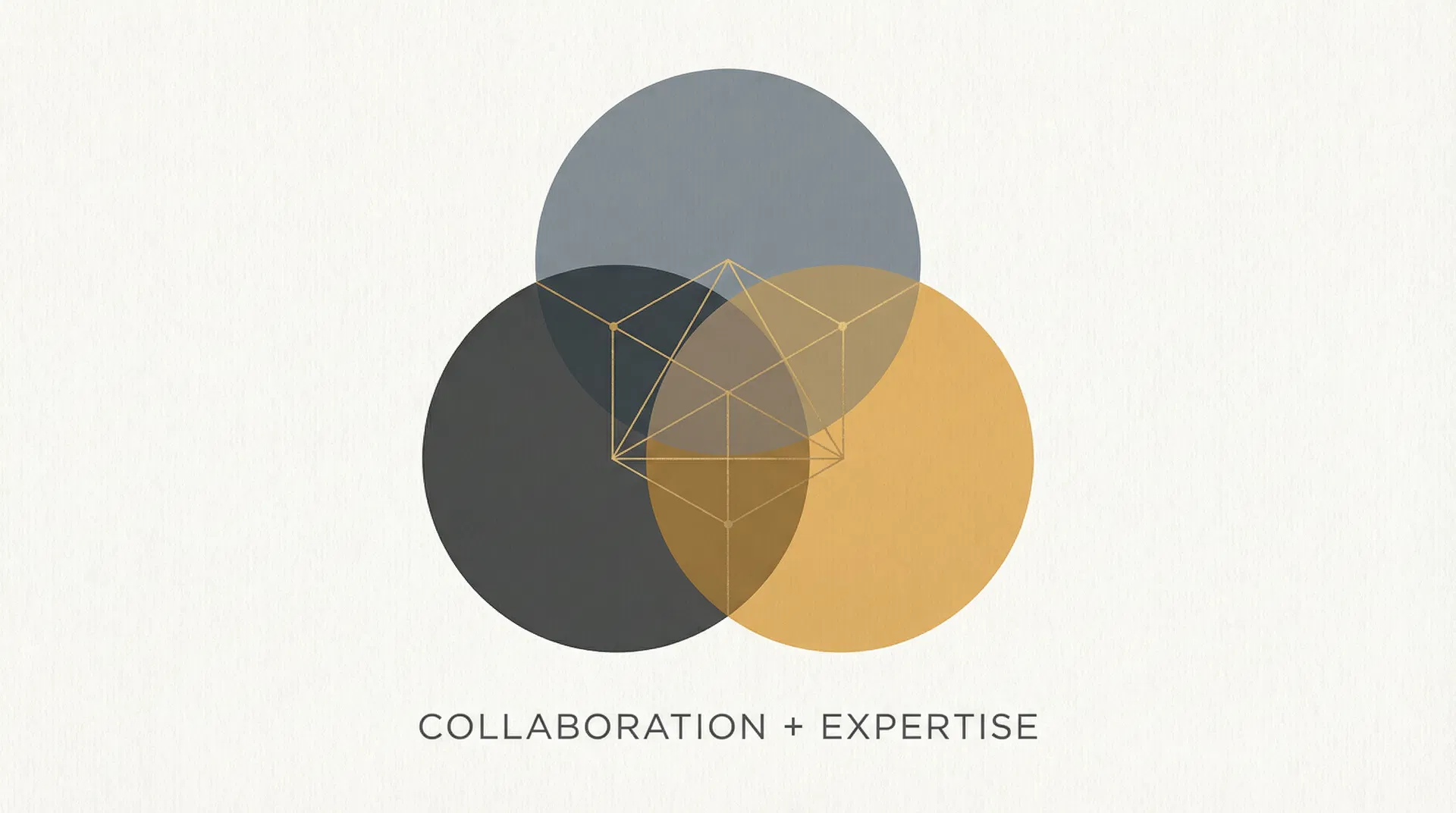 Collaboration and expertise