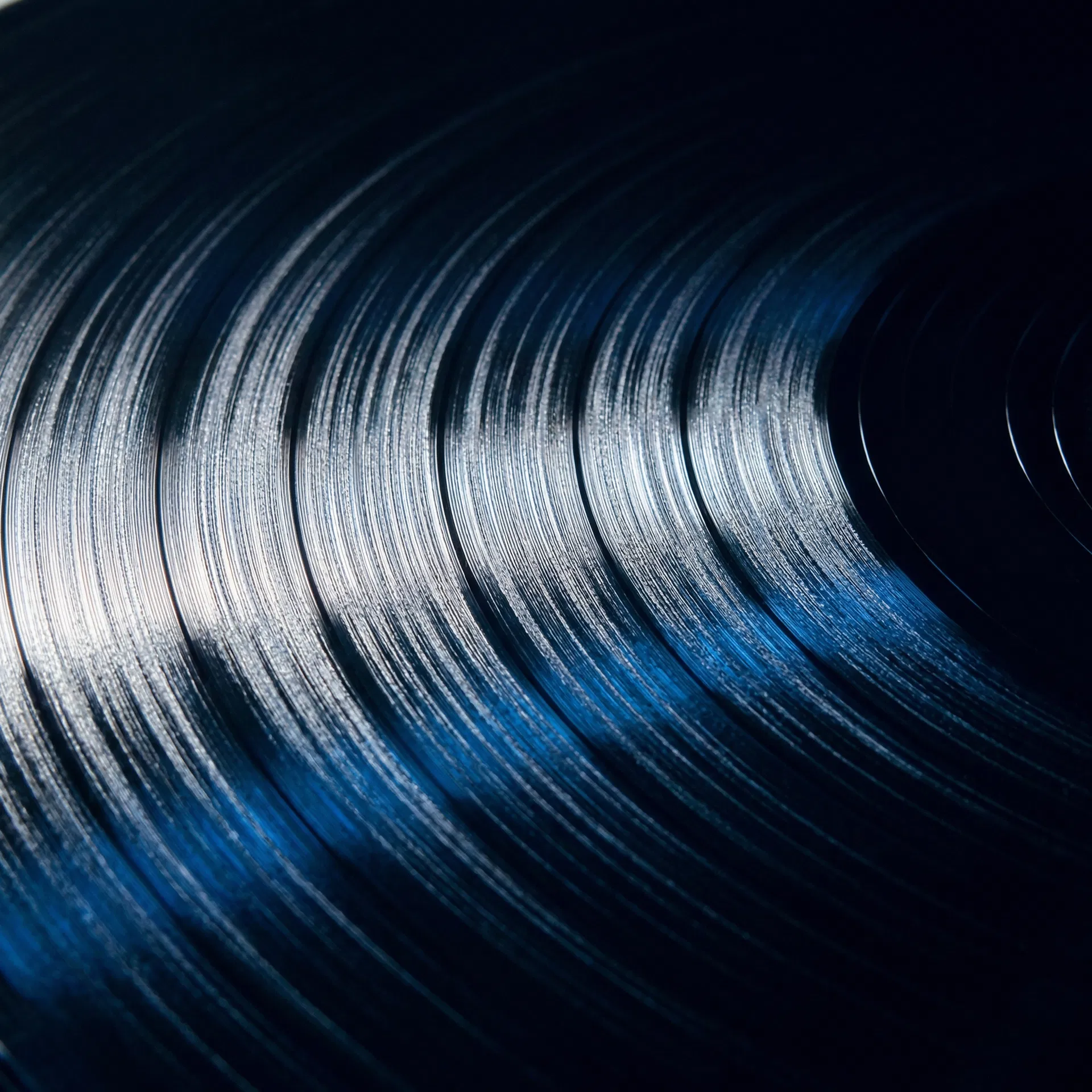 Artist Spotlight Interview