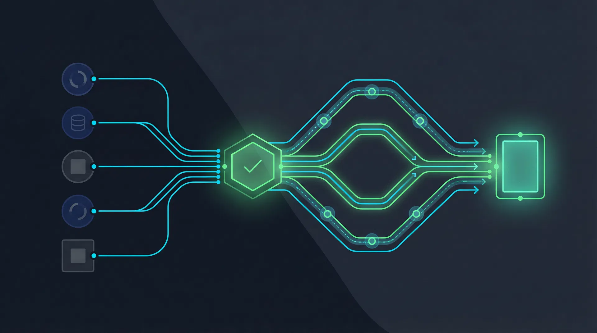 Data Verification Process