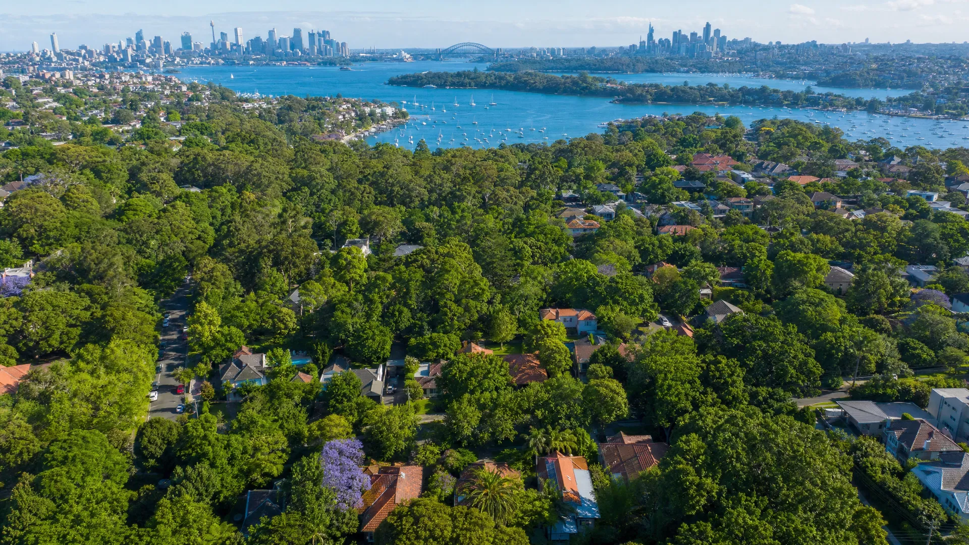 Sydney urban canopy aerial view