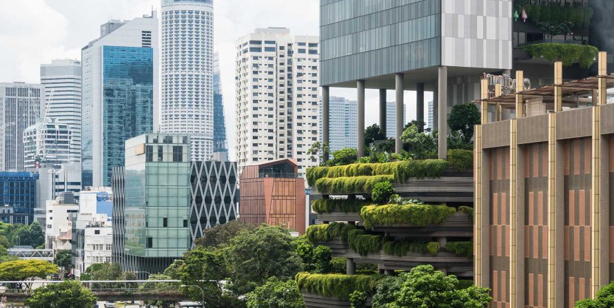 博弈与范式：从 Manus 被 Meta 收购，看中国 AI 的“新加坡通关路径”