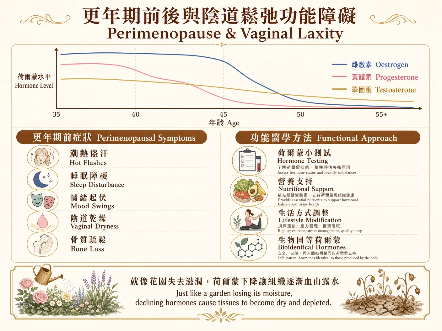 更年期荷爾蒙功能醫學評估圖