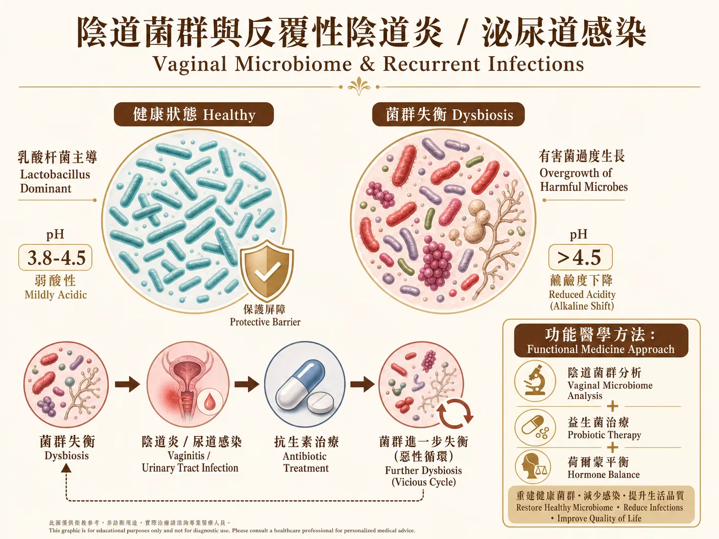 陰道微生物組功能醫學評估圖