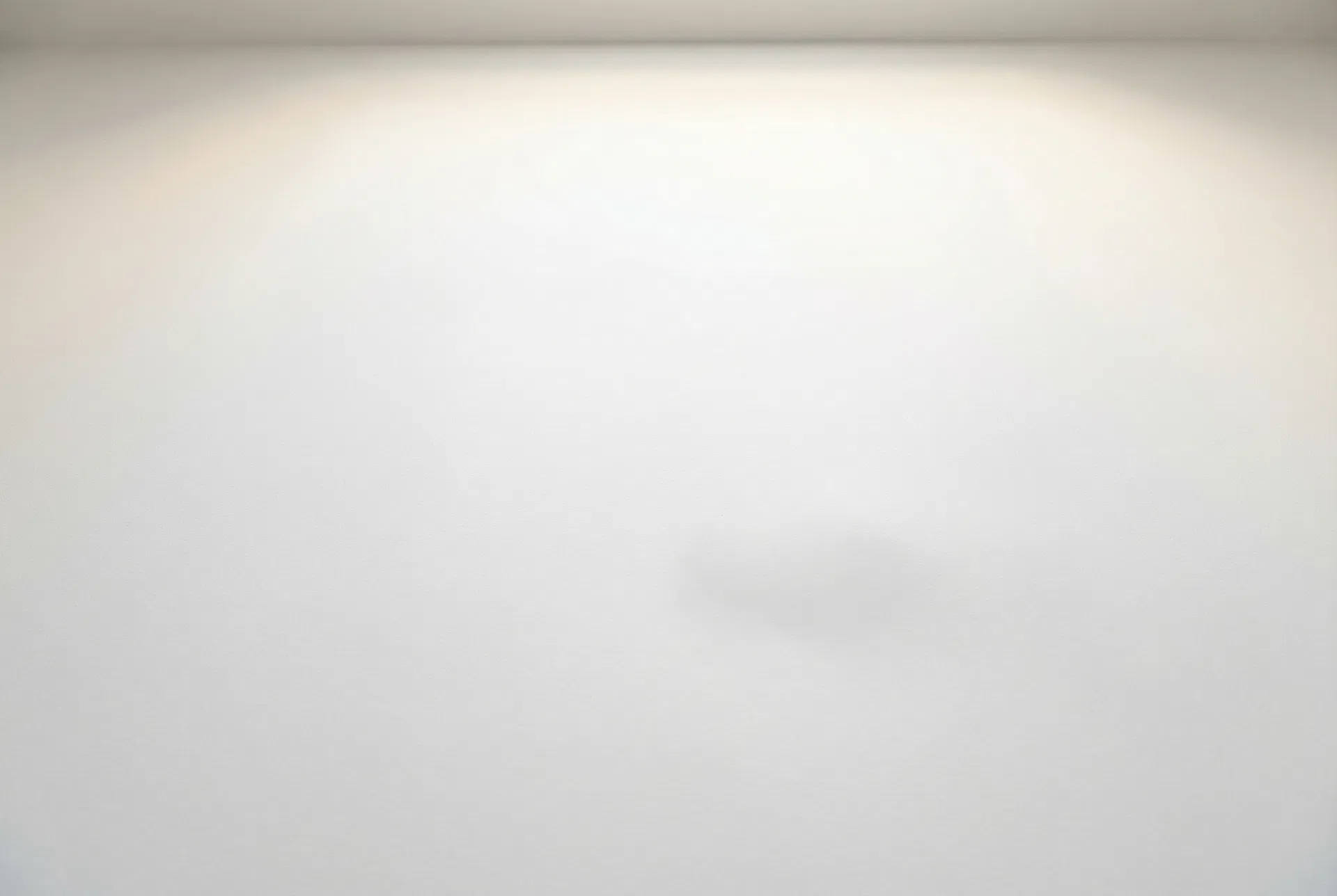 Close-up texture of NIVELO Ceiling Paint in Flat White Finish showing mtt finish and coverage