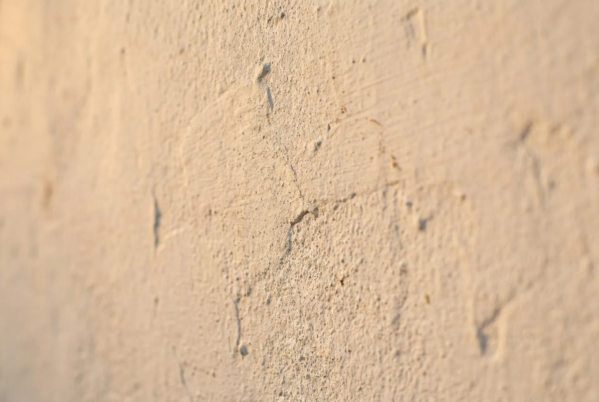 Close-up texture of NIVELO Exterior Wall Coating in Warm Plaster showing sheen finish and coverage