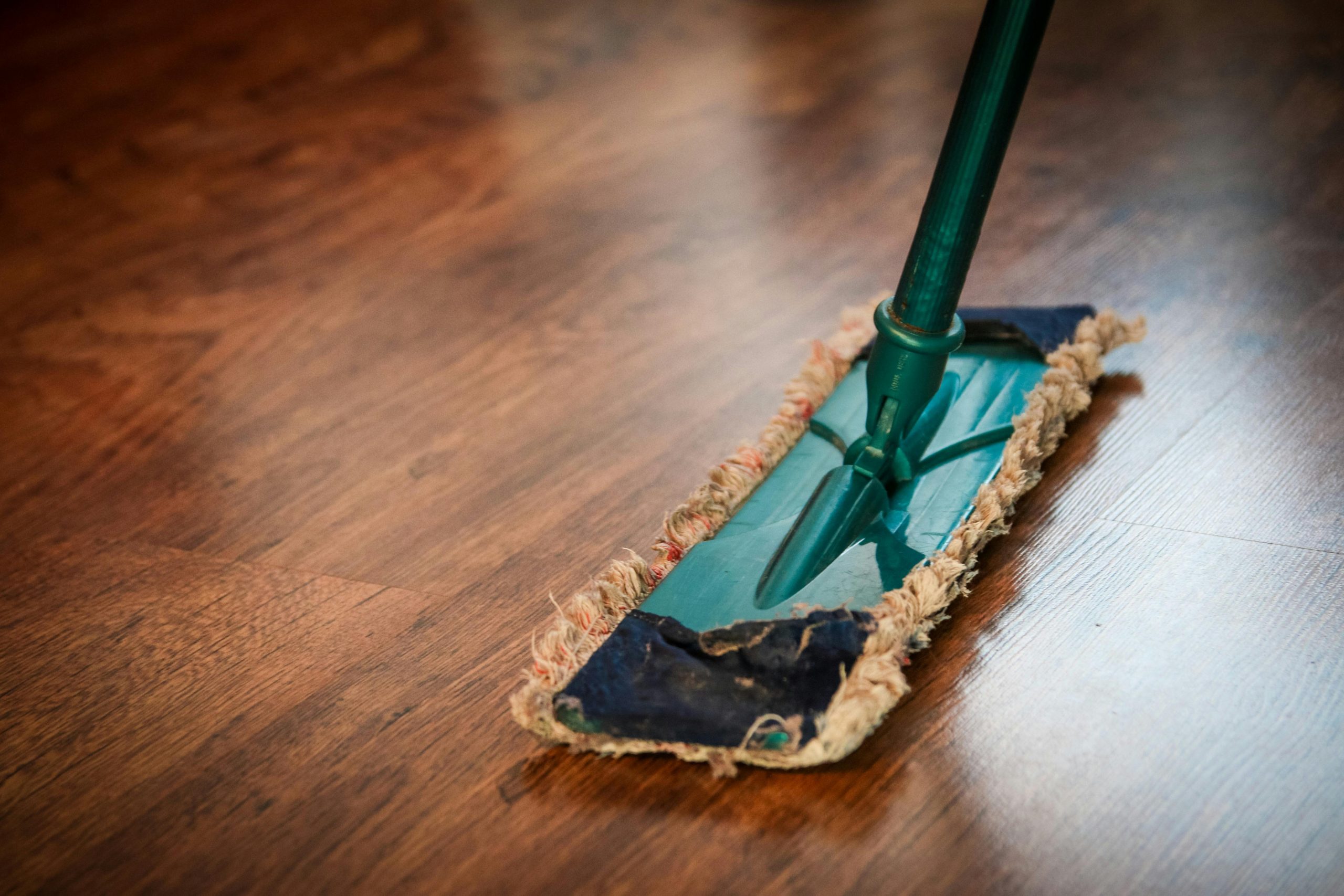Deep Cleaning Items To Help Make Life Easier This Summer In Logan, Utah