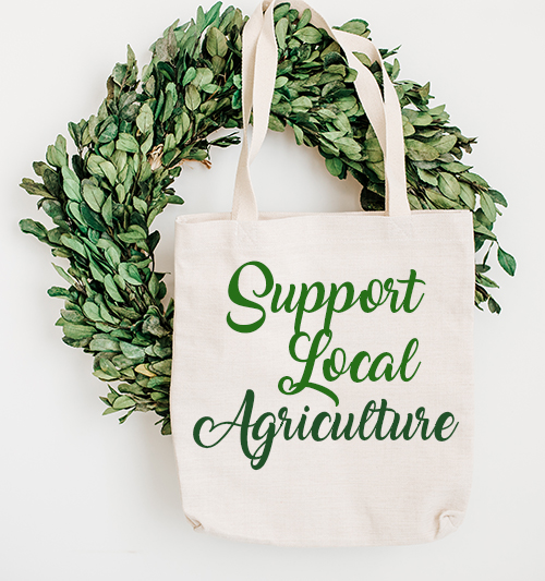 Summer 2025: Fairs & Farmers Markets in Cache Valley & Preston, ID