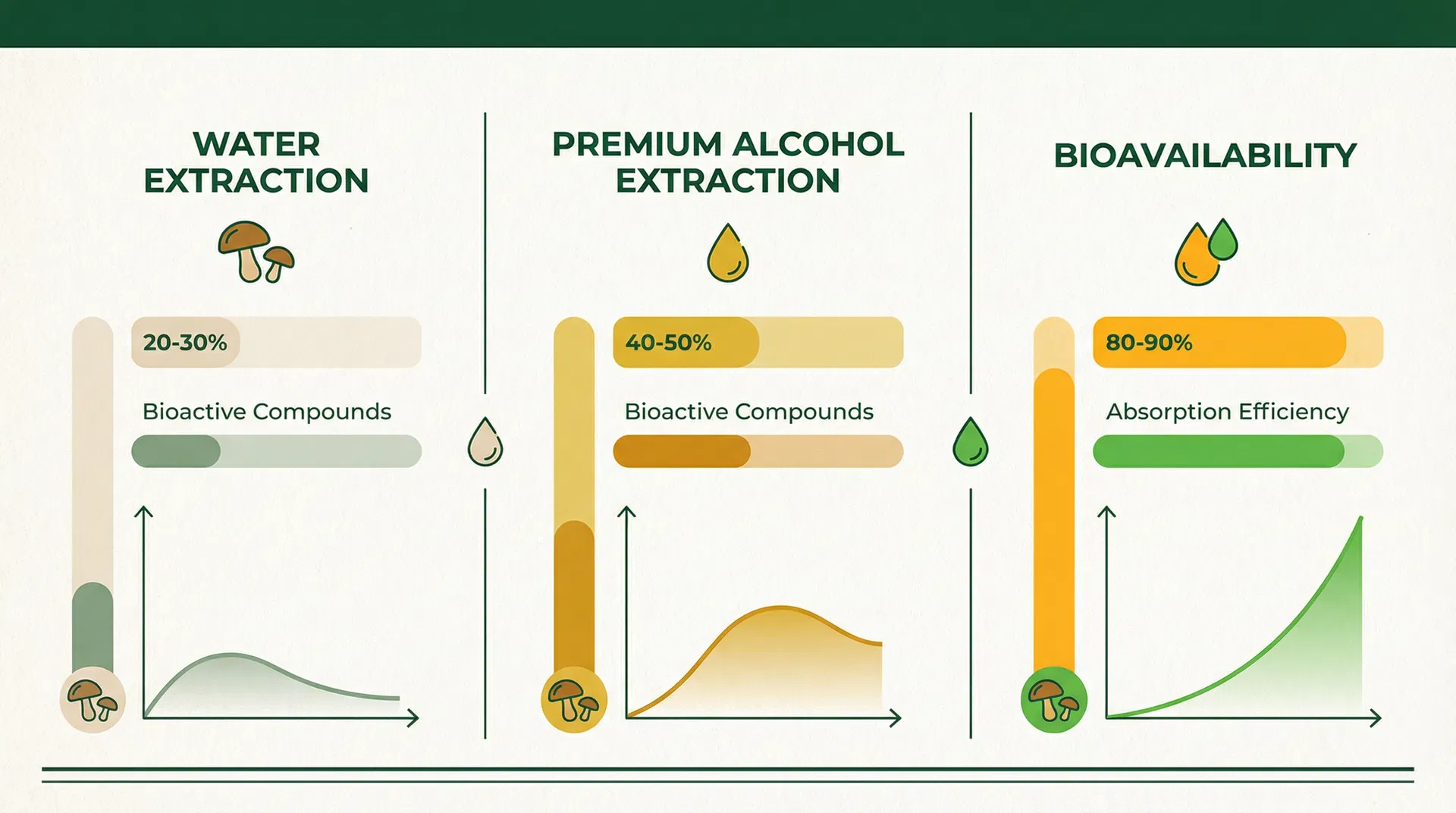 加拿大 vs 西伯利亚 vs 中国白桦茸：完全对比指南