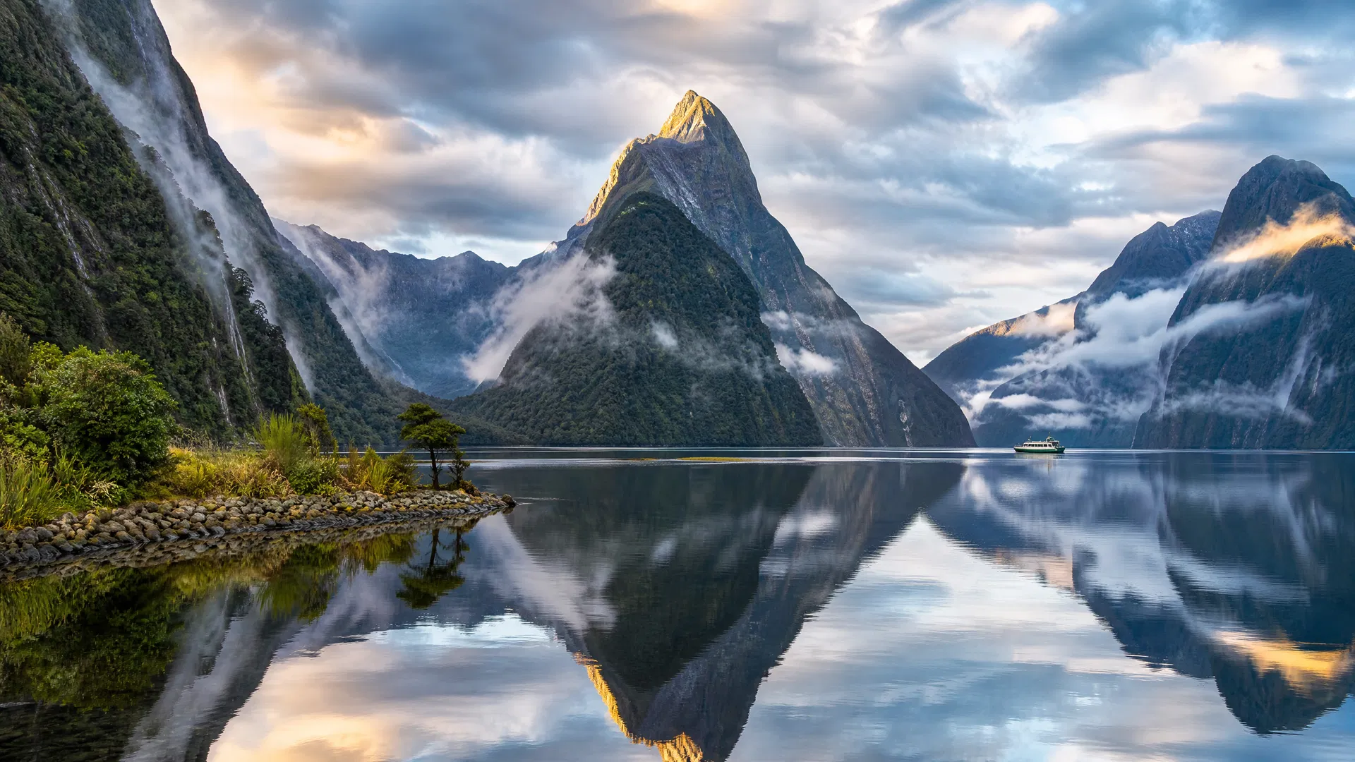 Two Islands, One Rental Car, and the Realization That No Other Country Does This: The New Zealand Road Trip Guide