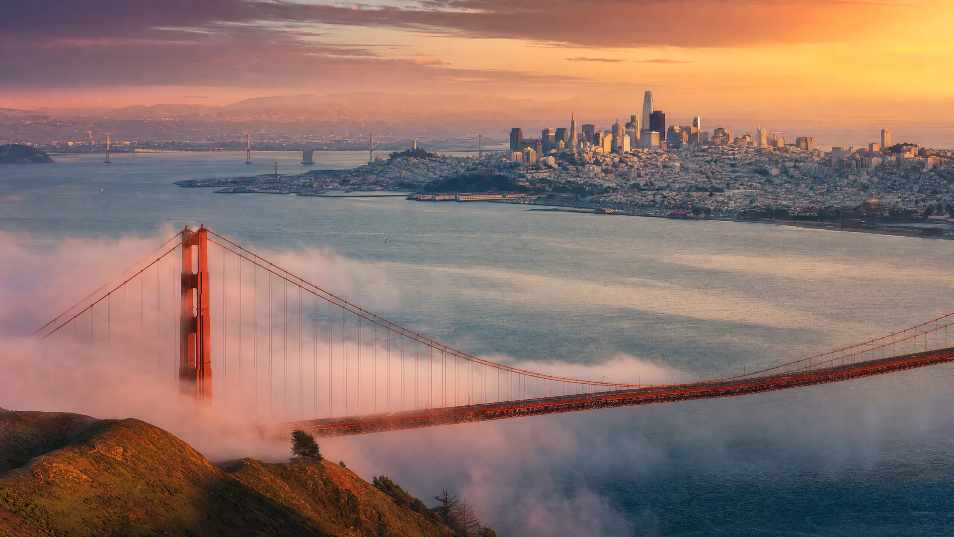 San Francisco Doesn't Apologize for Being Itself. Neither Should You.