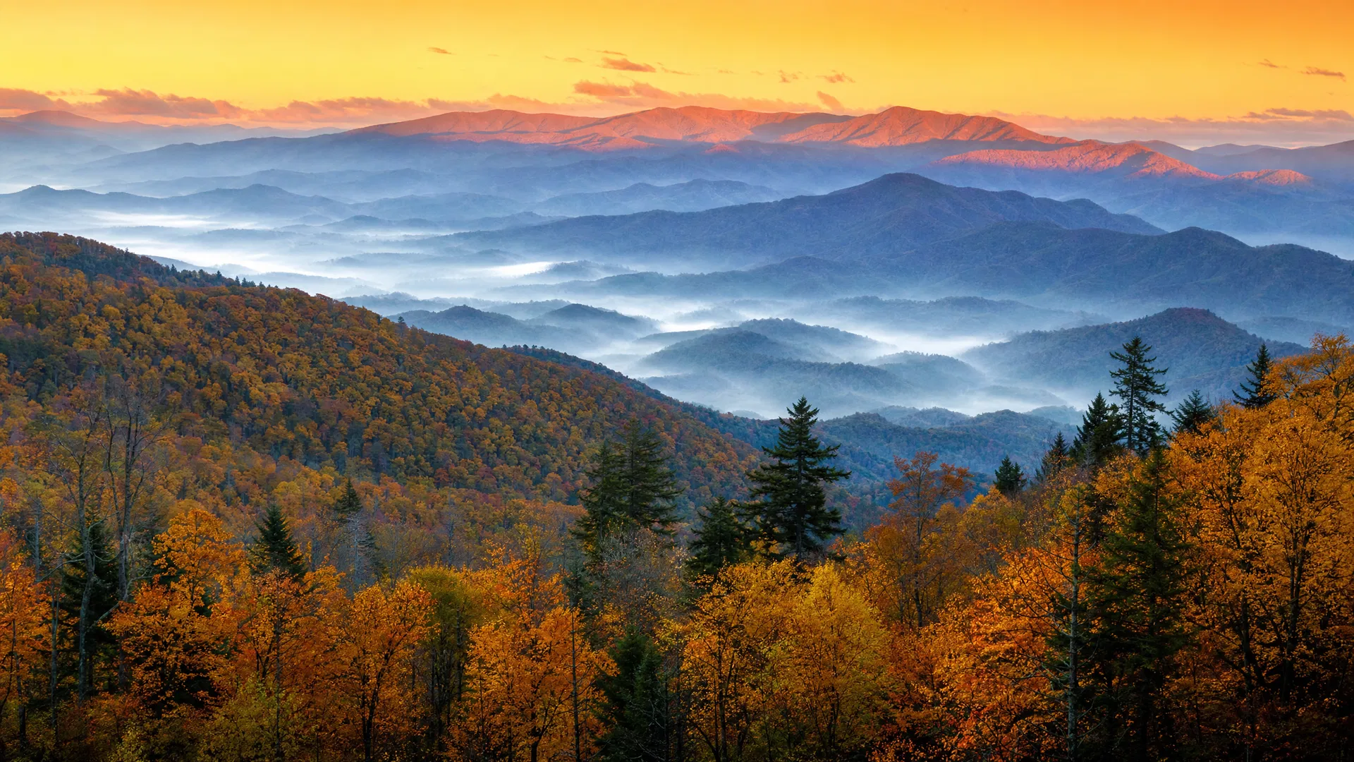 The Mountains That Were Ancient When Rome Was Young: A Real Guide to the Great Smoky Mountains