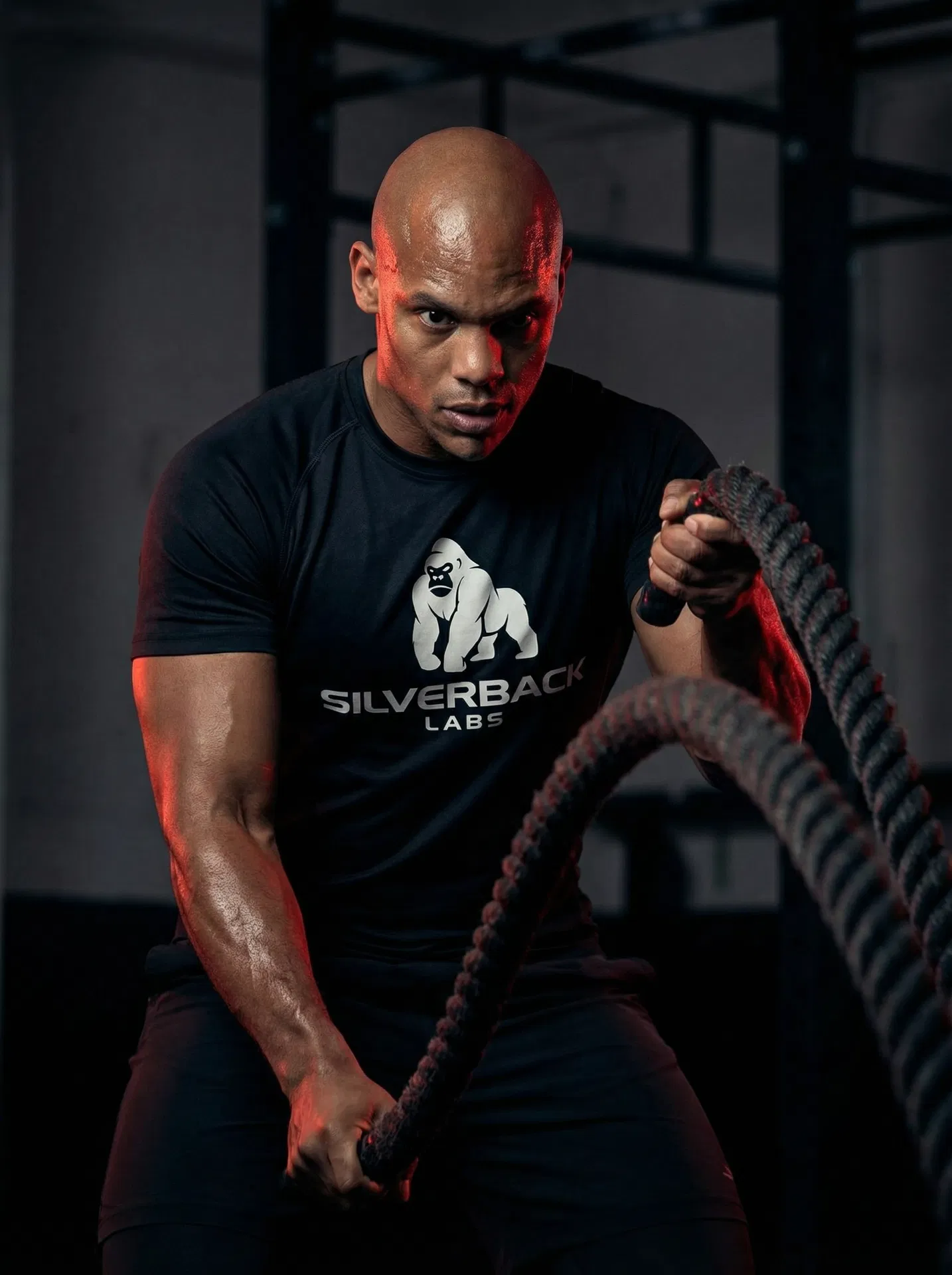 Atleta Silverback Labs