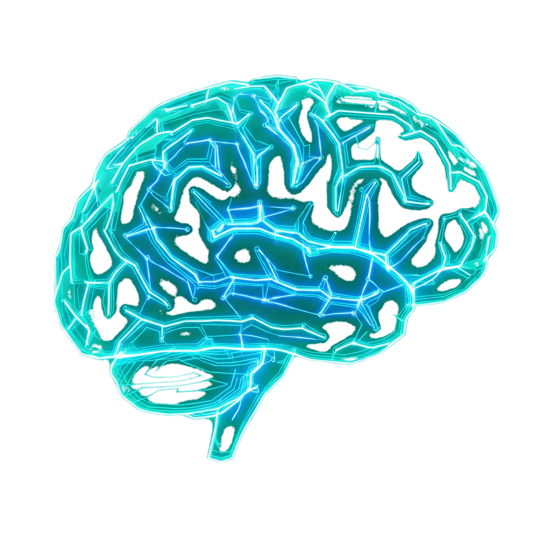 Neural brain visualization