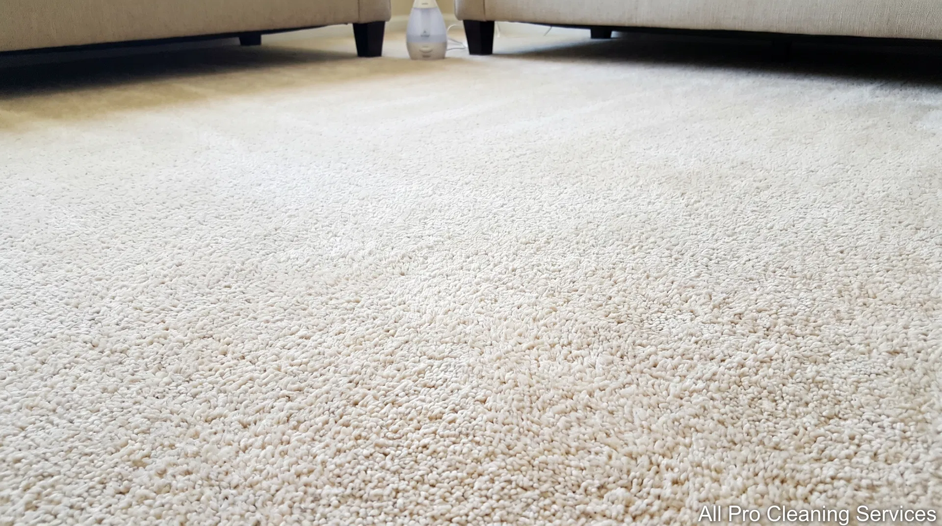 All Pro Cleaning Services - fresh clean pet-free carpet after professional cleaning - Hutchinson KS