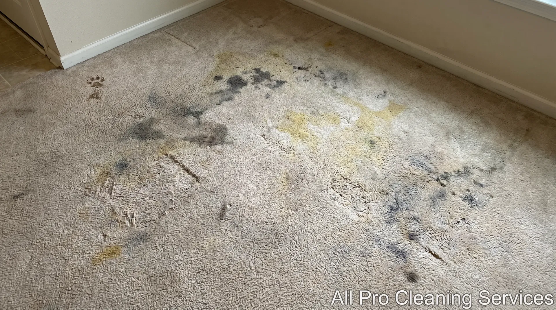All Pro Cleaning Services - pet stained damaged carpet before cleaning - Hutchinson KS