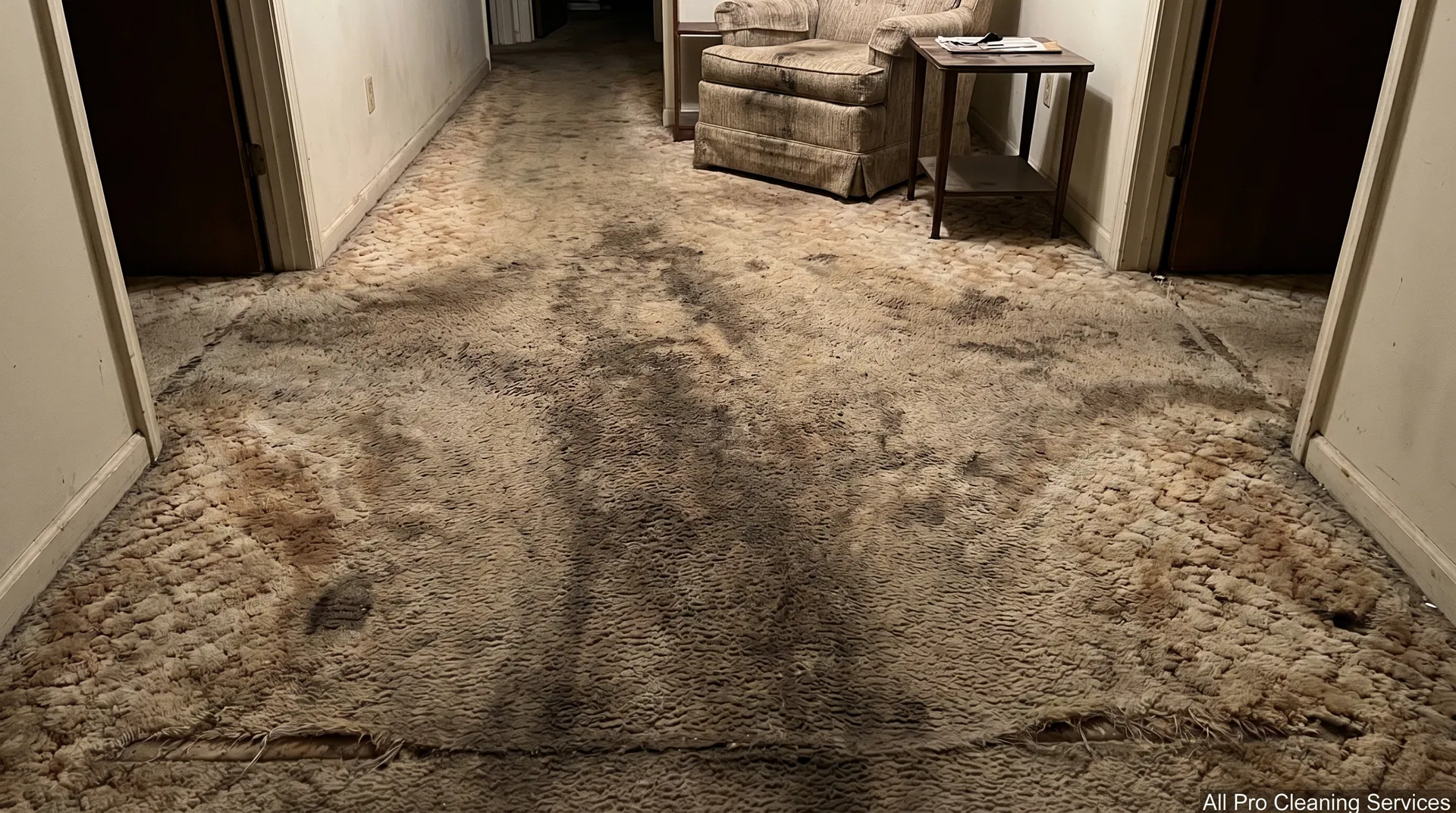 All Pro Cleaning Services - worn high-traffic carpet before cleaning - Hutchinson KS