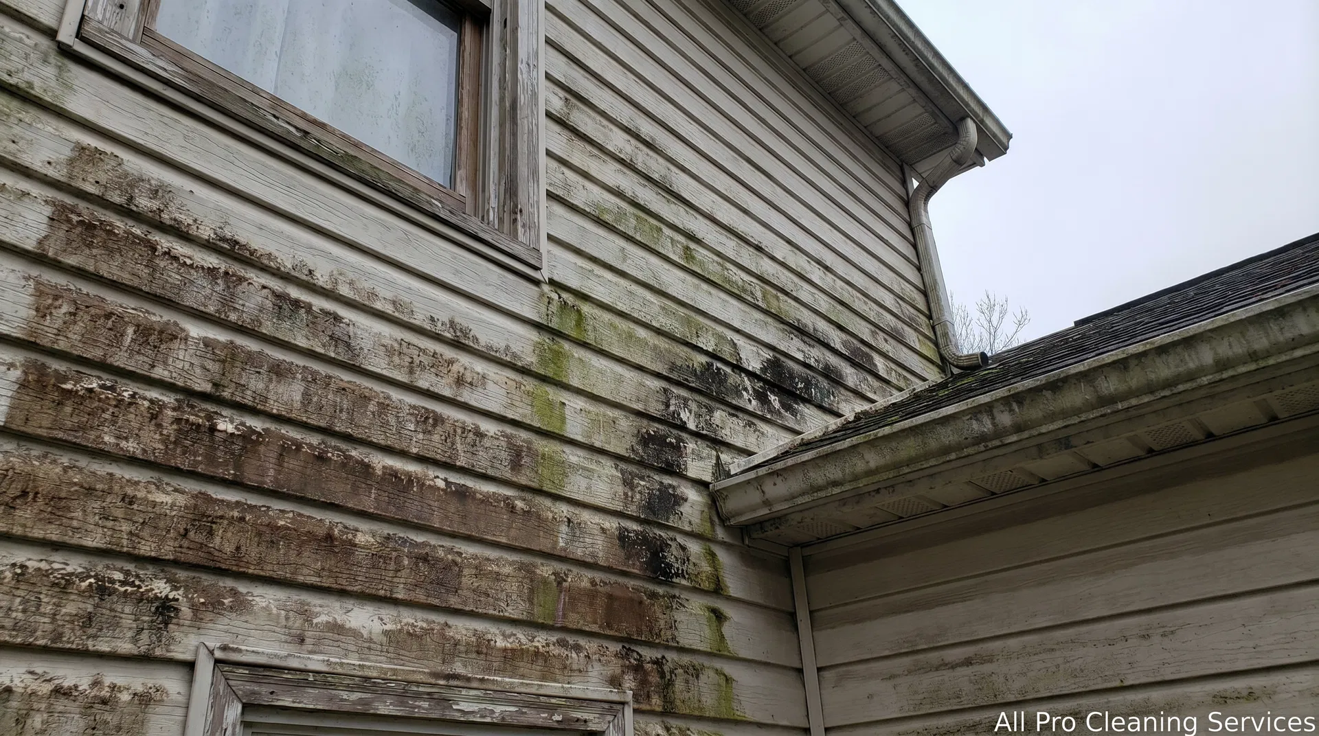 All Pro Cleaning Services - grimy moldy house siding before power washing - Hutchinson KS