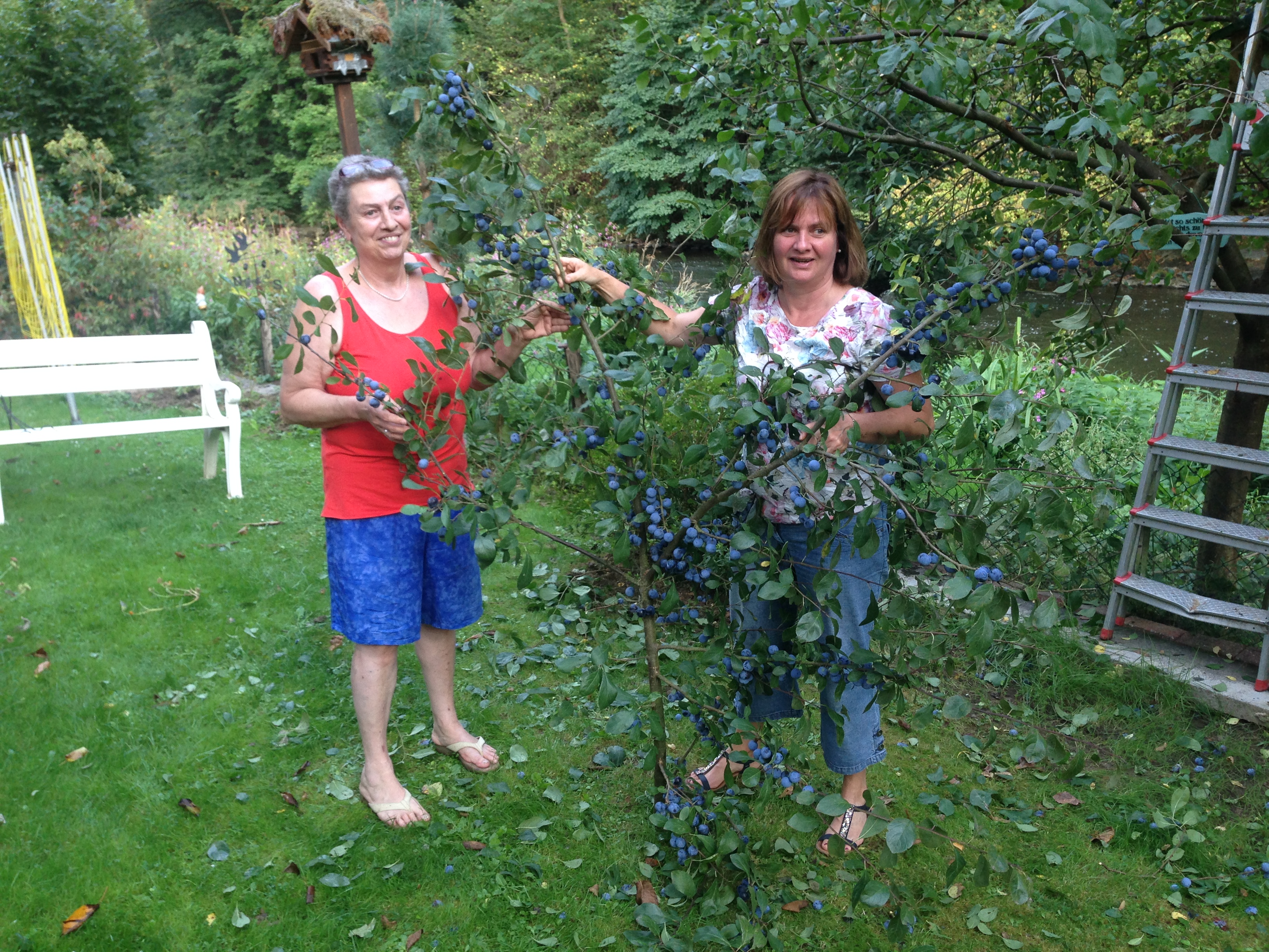 Foto von Frau Schrödi