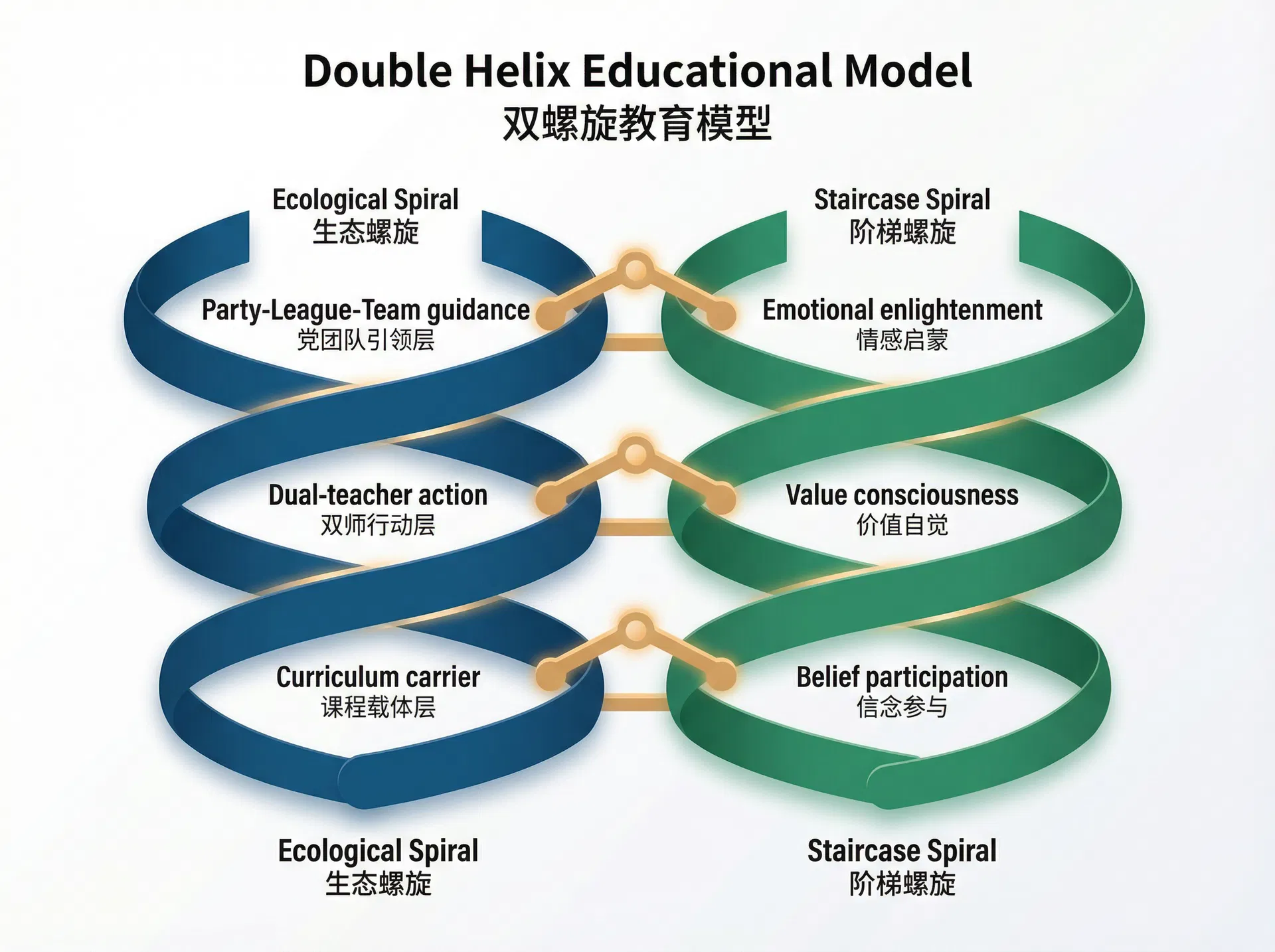 生态-阶梯双螺旋育人模型图