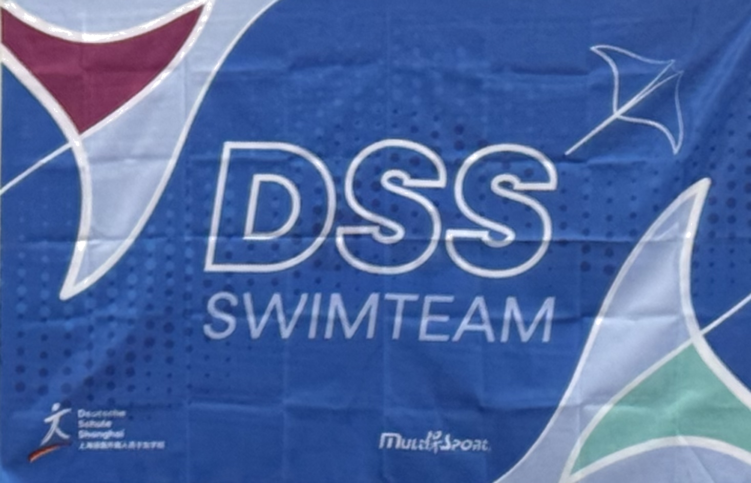 DSS