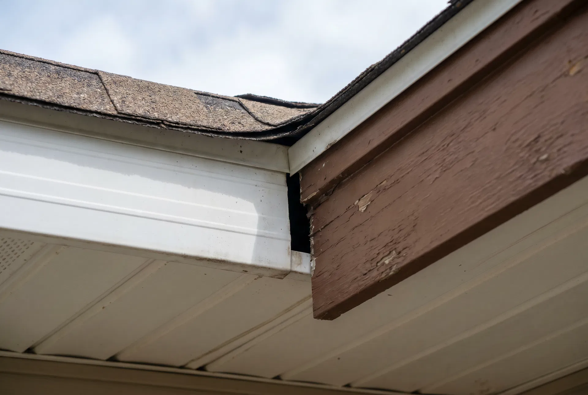 Bat entry points on a Collingwood home