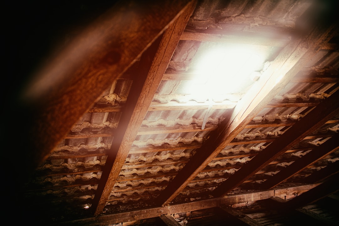Bat Removal service in Collingwood, Ontario — Fortress Pest Control
