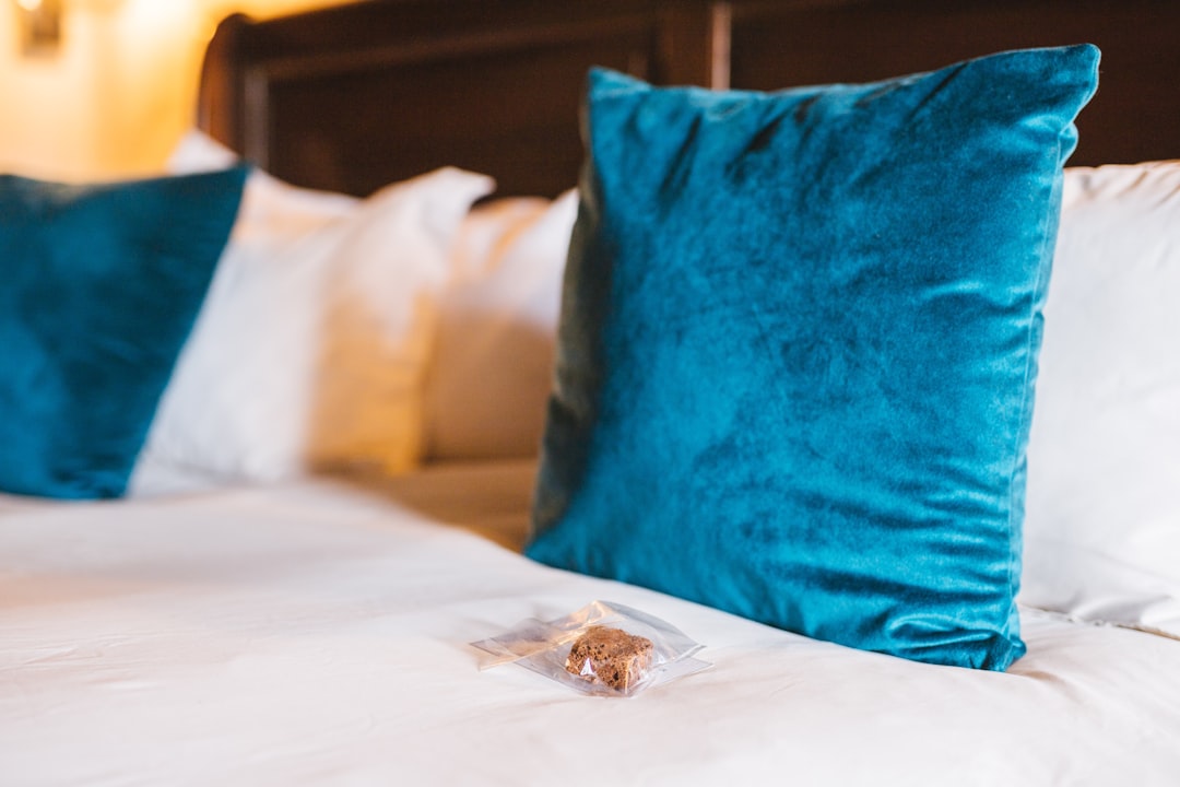 Bed Bug Treatment service in Bracebridge, Ontario — Fortress Pest Control