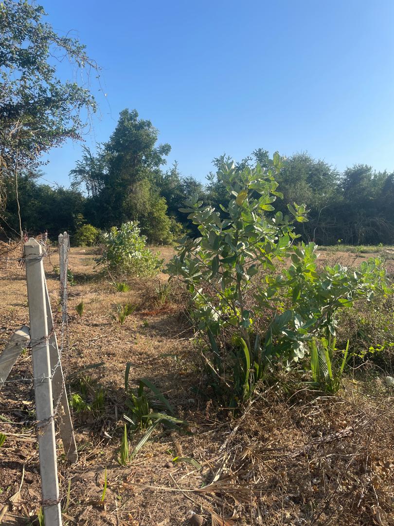 Prime Sea & Mountain View Land 300m to Beach Sam Roi Yot 6