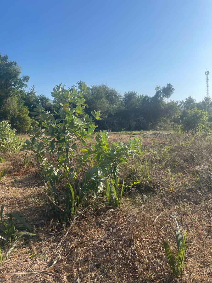 Prime Sea & Mountain View Land 300m to Beach Sam Roi Yot 7