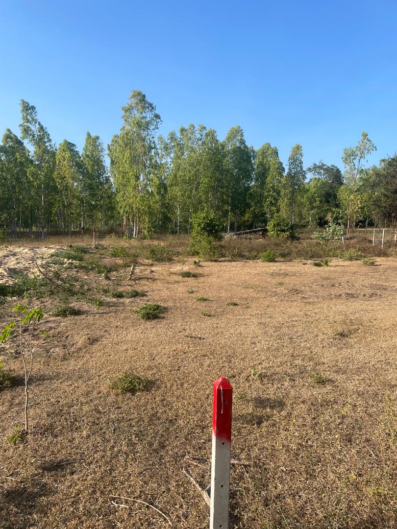 Prime Sea & Mountain View Land 300m to Beach Sam Roi Yot 11