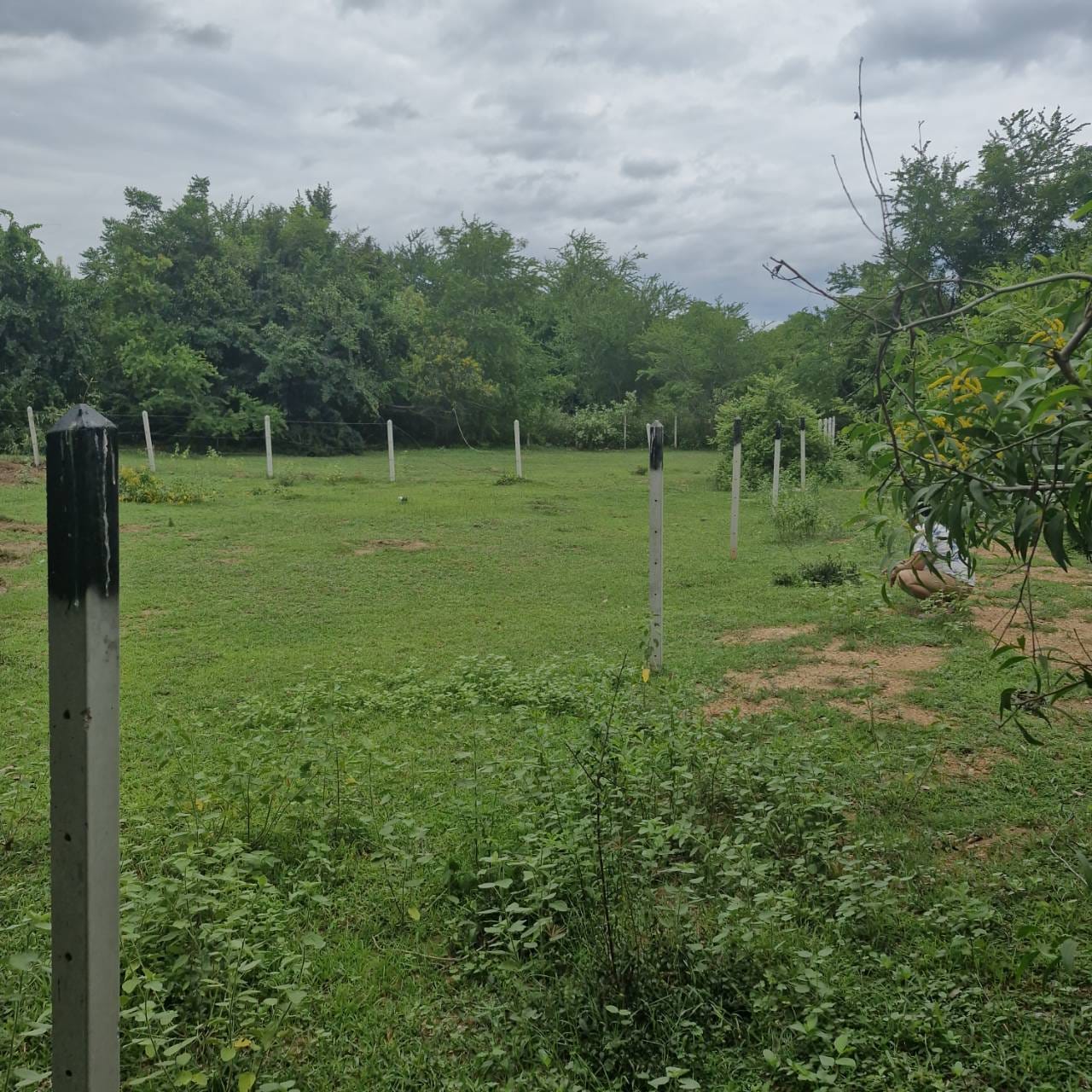 Prime Sea & Mountain View Land 300m to Beach Sam Roi Yot 13