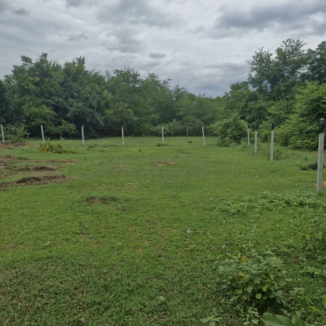 Prime Sea & Mountain View Land 300m to Beach Sam Roi Yot 15