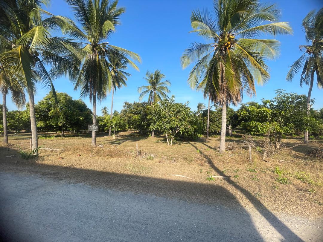 Chanote Land 150 sqm Sam Roi Yot 1.9km to Sea + Mountain View