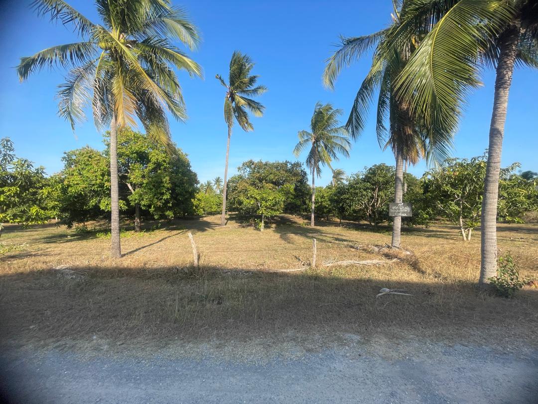 Chanote Land 150 sqm Sam Roi Yot 1.9km to Sea + Mountain View 2