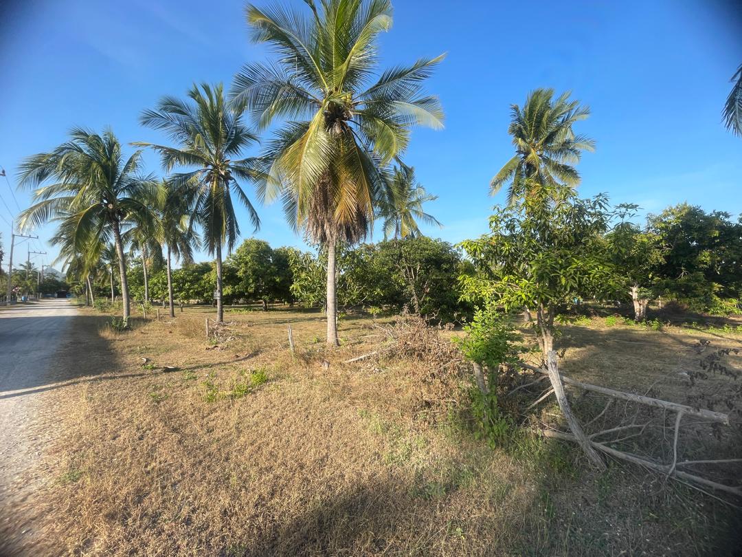 Chanote Land 150 sqm Sam Roi Yot 1.9km to Sea + Mountain View 4