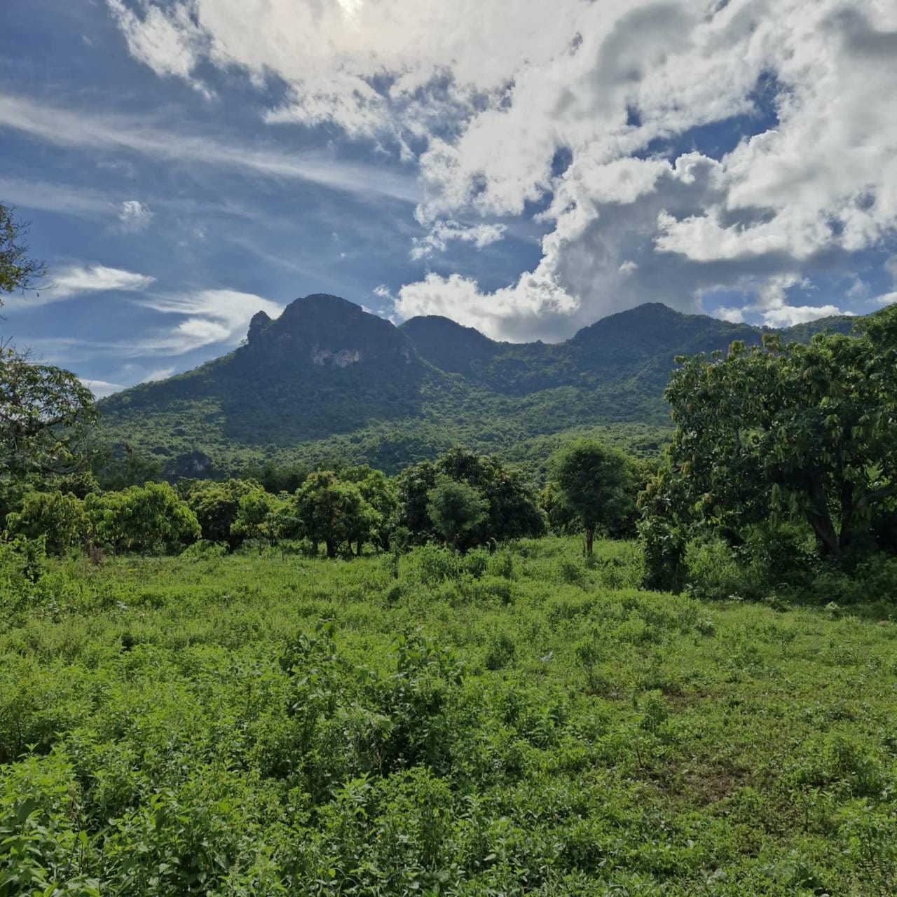 Chanote Land 3.2 Rai Sam Roi Yot – Divisible into 3 Plots 8