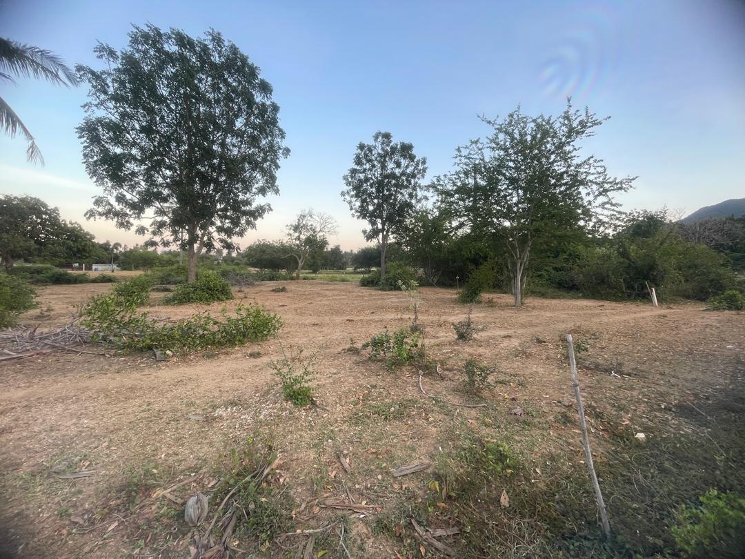 Chanote Land 3.2 Rai Sam Roi Yot – Divisible into 3 Plots 10