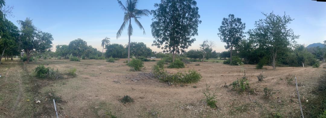 Chanote Land 3.2 Rai Sam Roi Yot – Divisible into 3 Plots 12