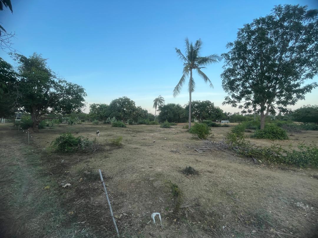 Chanote Land 3.2 Rai Sam Roi Yot – Divisible into 3 Plots 13