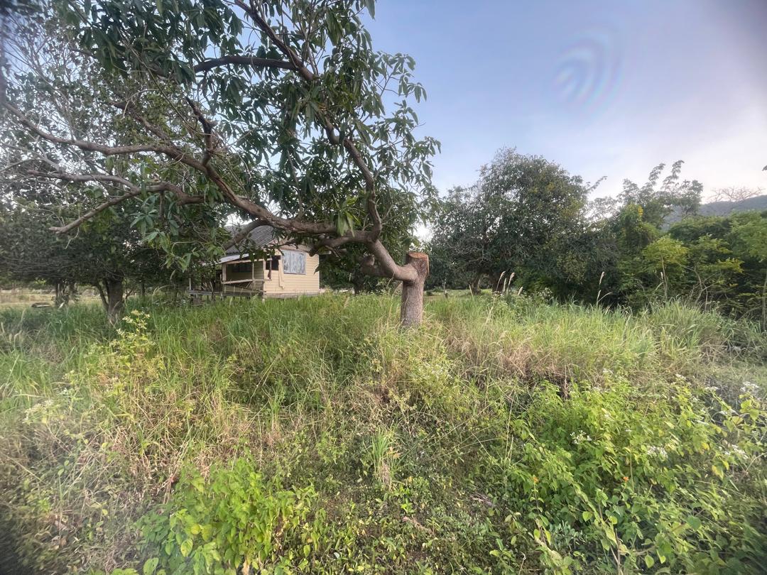 Chanote Land 1 Rai 30 sq wah Sam Roi Yot – Mountain View 2