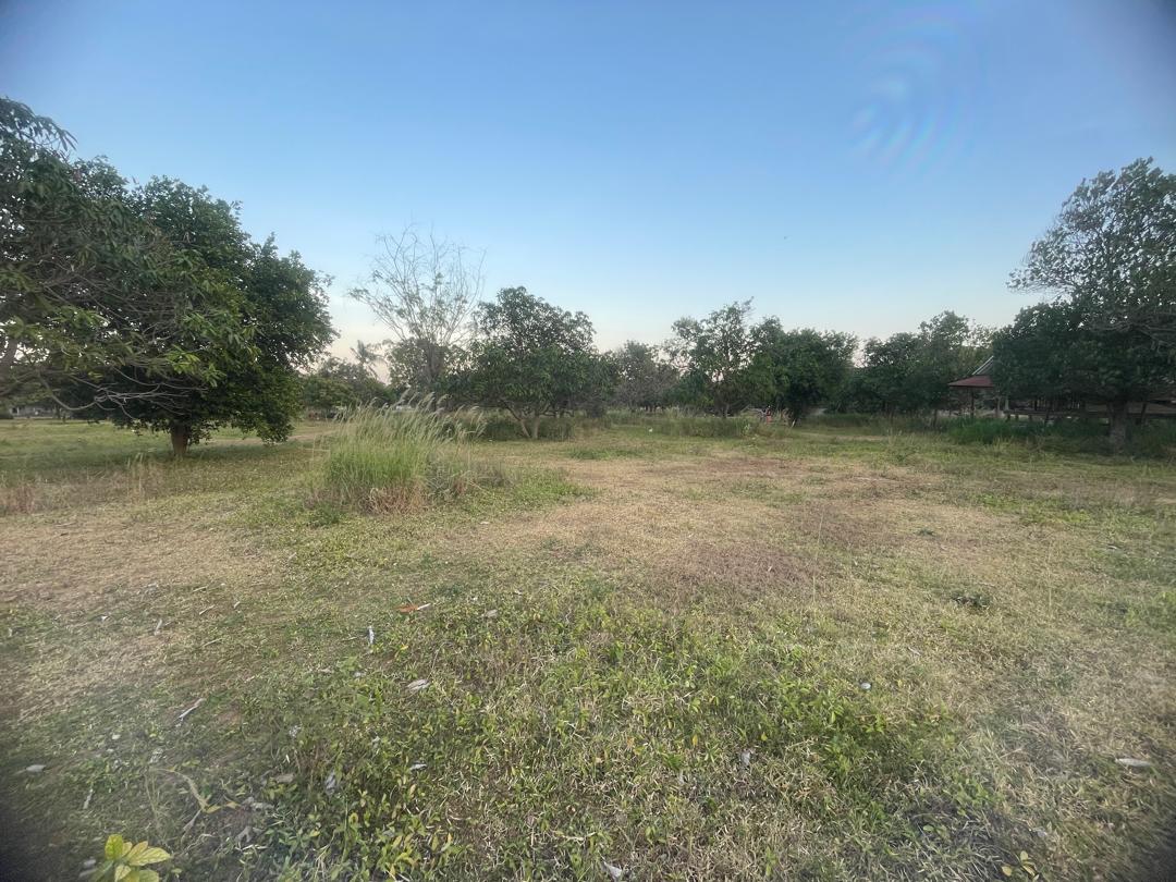 Chanote Land 1 Rai 30 sq wah Sam Roi Yot – Mountain View 6