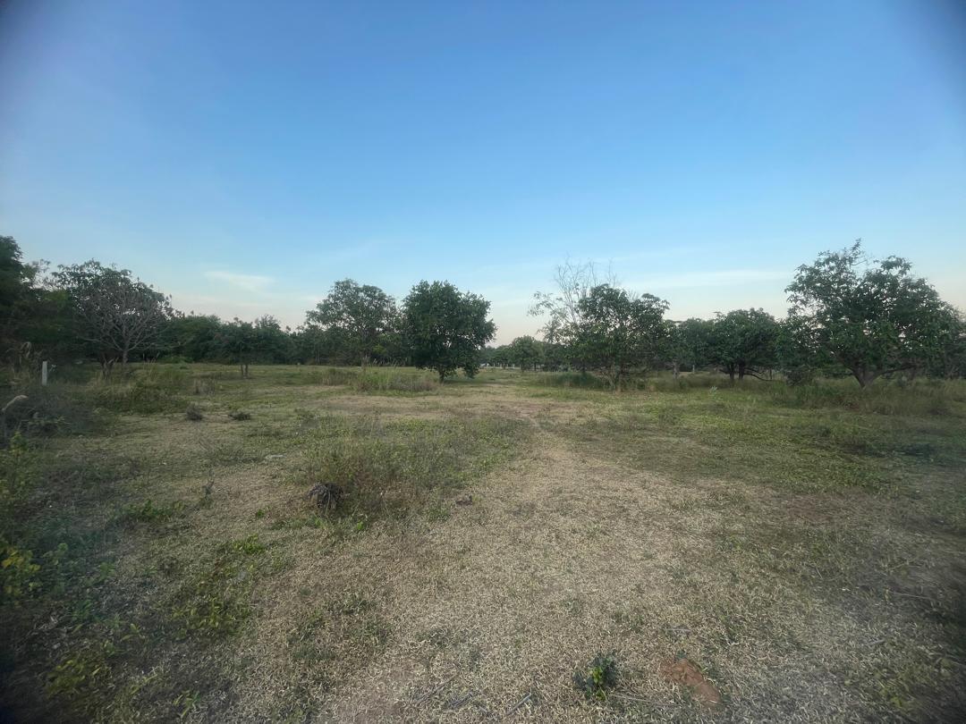 Chanote Land 1 Rai 30 sq wah Sam Roi Yot – Mountain View 9