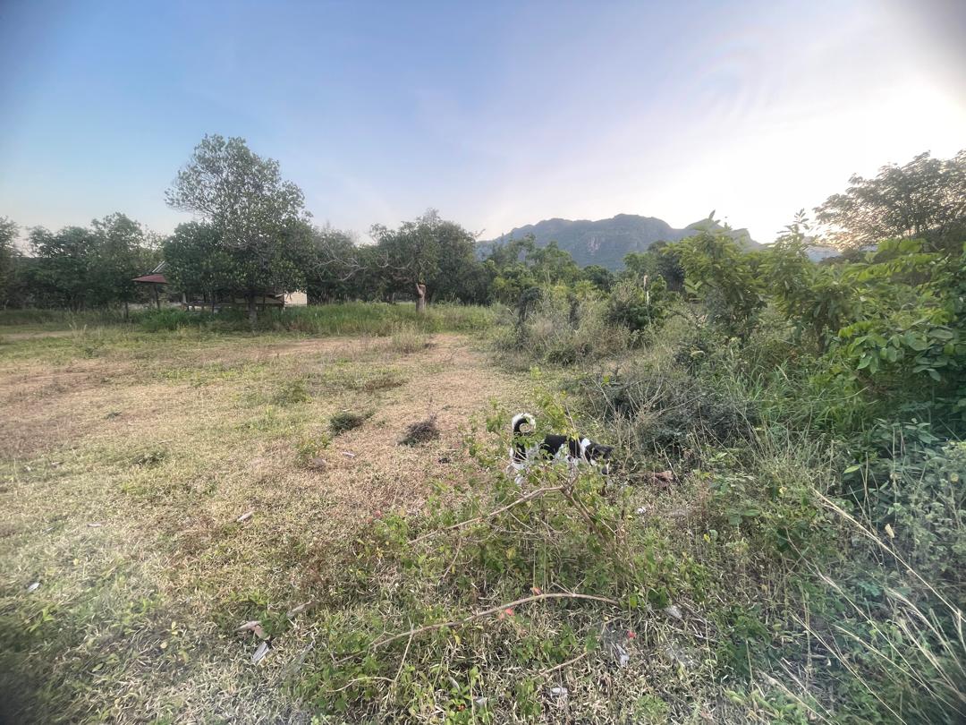 Chanote Land 1 Rai 30 sq wah Sam Roi Yot – Mountain View 10