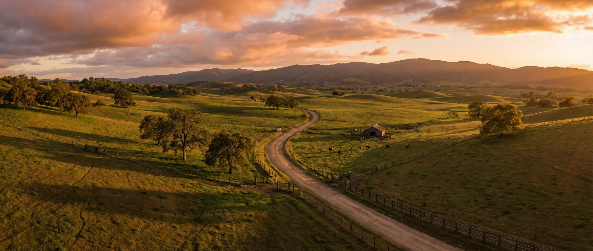 Rolling ranch land at golden hour