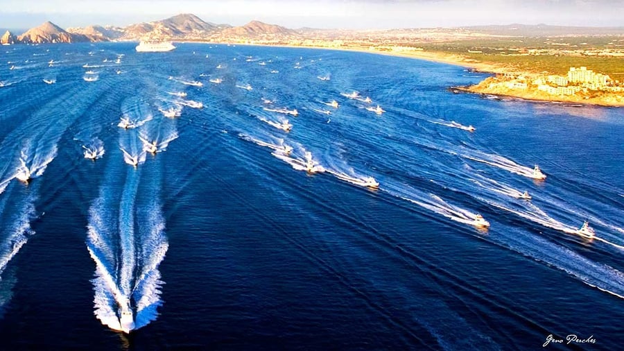 Bisbee's Los Cabos Offshore