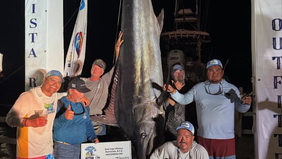 East Cape Offshore Tournament