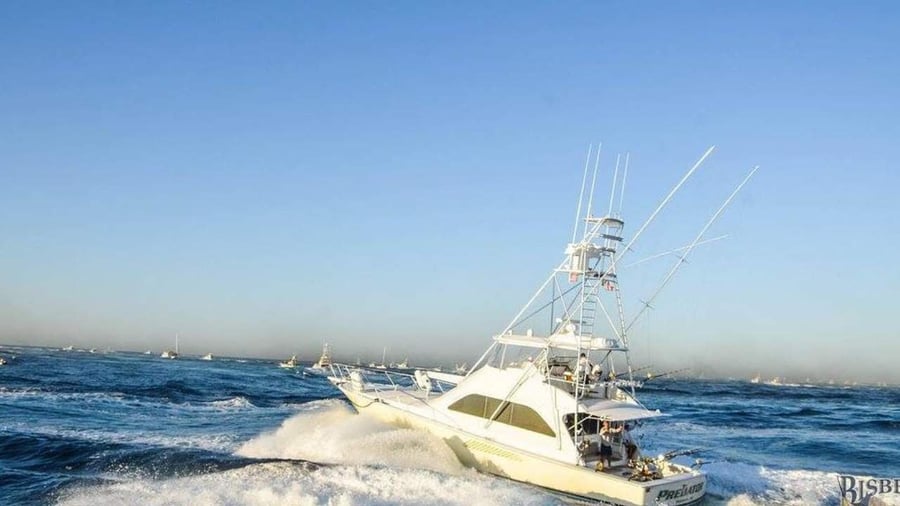 Los Cabos Open (ATP Tennis)