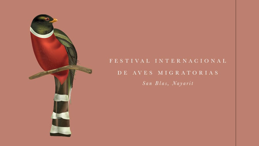 San Blas International Migratory Bird Festival